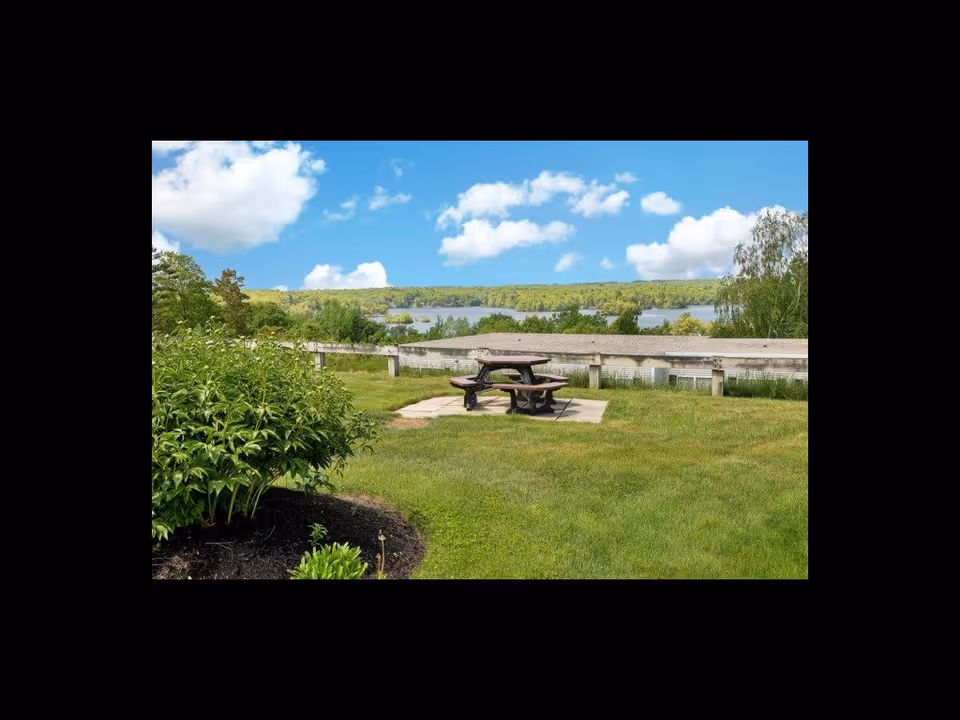 Outdoor area with a wooden picnic table on a concrete slab surrounded by green grass and bushes, overlooking a lake with trees and a blue sky with scattered clouds.