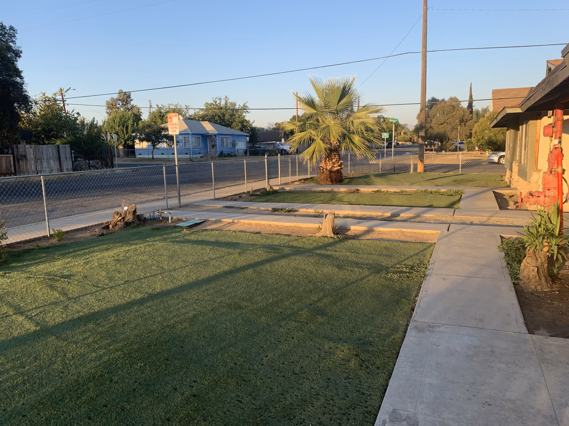 Outdoor view of a fenced yard area with green grass, a palm tree, and a concrete walkway leading to a building on the right. There is a street and houses visible in the background under a clear blue sky.