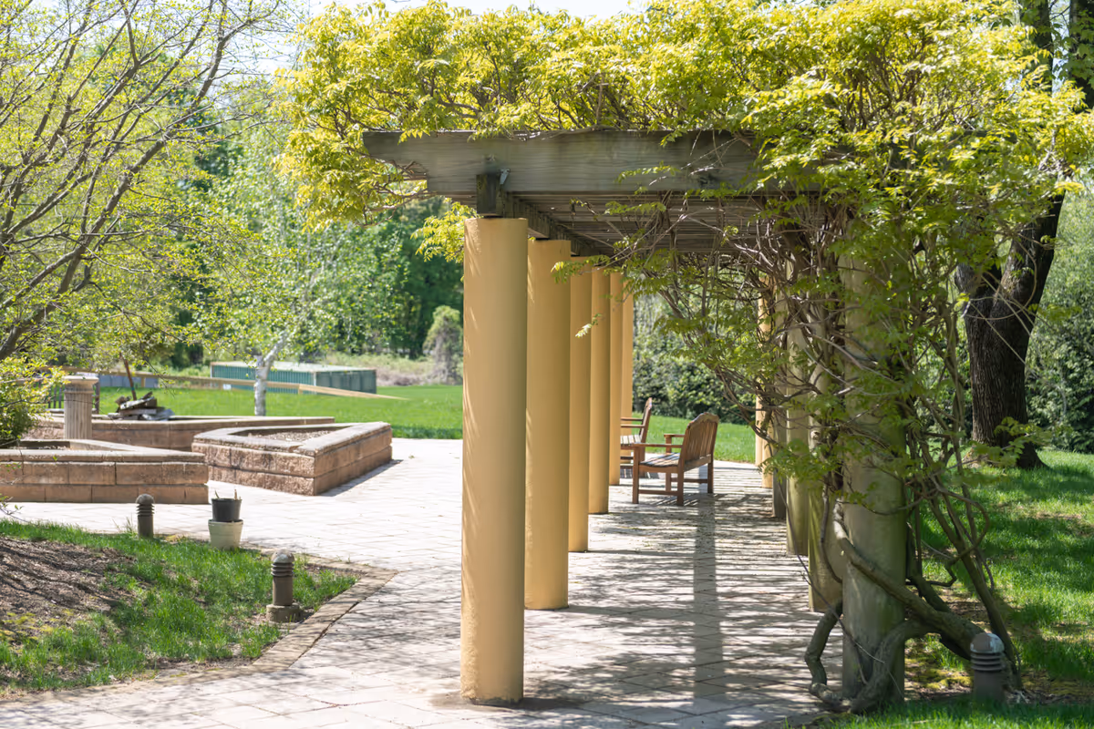 Shaded outdoor pergola walkway with vine-covered columns, wooden chairs, and a paved patio in a landscaped garden.
