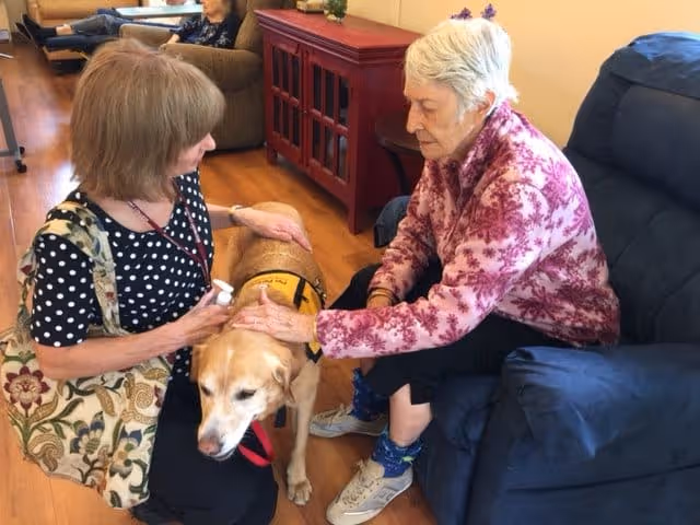 Two elderly women interacting with a therapy dog inside a living room area. One woman is sitting on a blue recliner chair wearing a pink patterned jacket, while the other woman is kneeling on the wooden floor petting the dog. The room has wooden flooring and a red cabinet in the background.