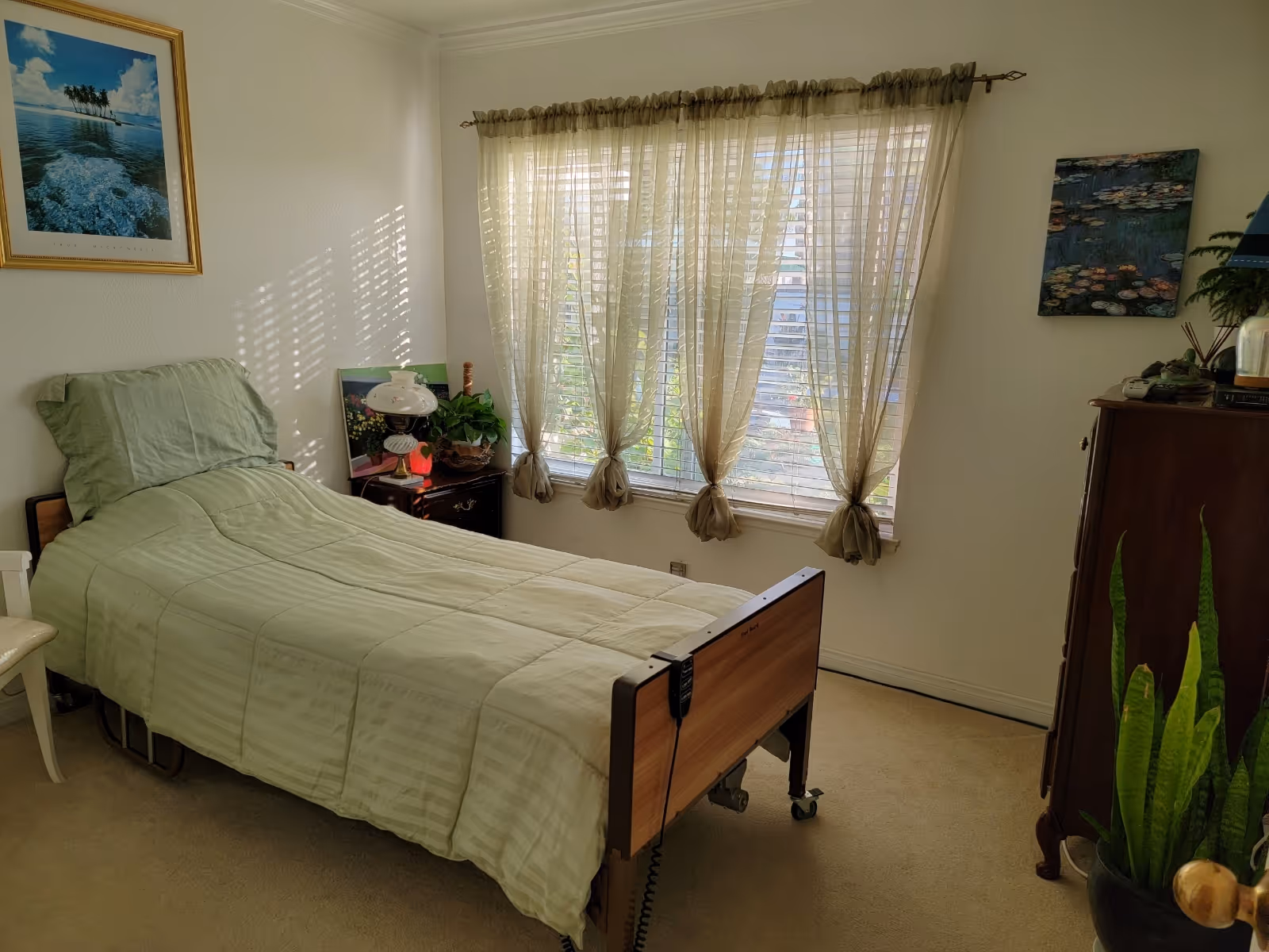 Sunlit bedroom with a single bed, bedside table, dresser, plants, and a window with tied sheer curtains.