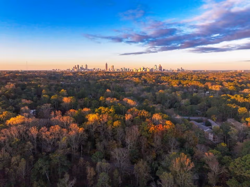 Aerial view of a dense forest with autumn-colored trees in the foreground and a city skyline in the distance under a partly cloudy sky during sunset.
