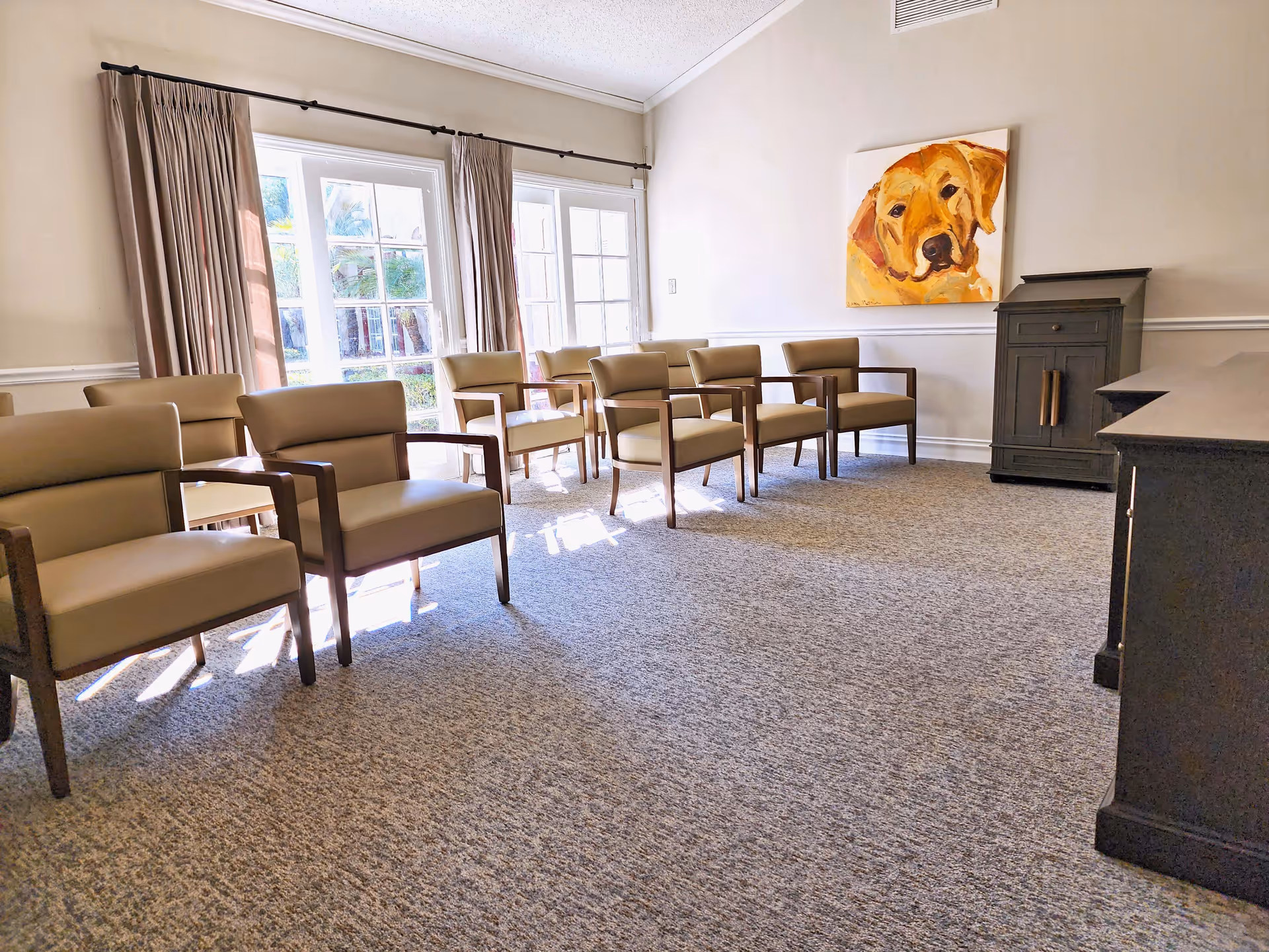 A bright room with beige walls and carpeted floor featuring a row of beige cushioned chairs with wooden armrests arranged in two rows facing a dark wooden cabinet. Large windows with beige curtains allow natural light to fill the room. A painting of a yellow dog hangs on the wall above the cabinet.