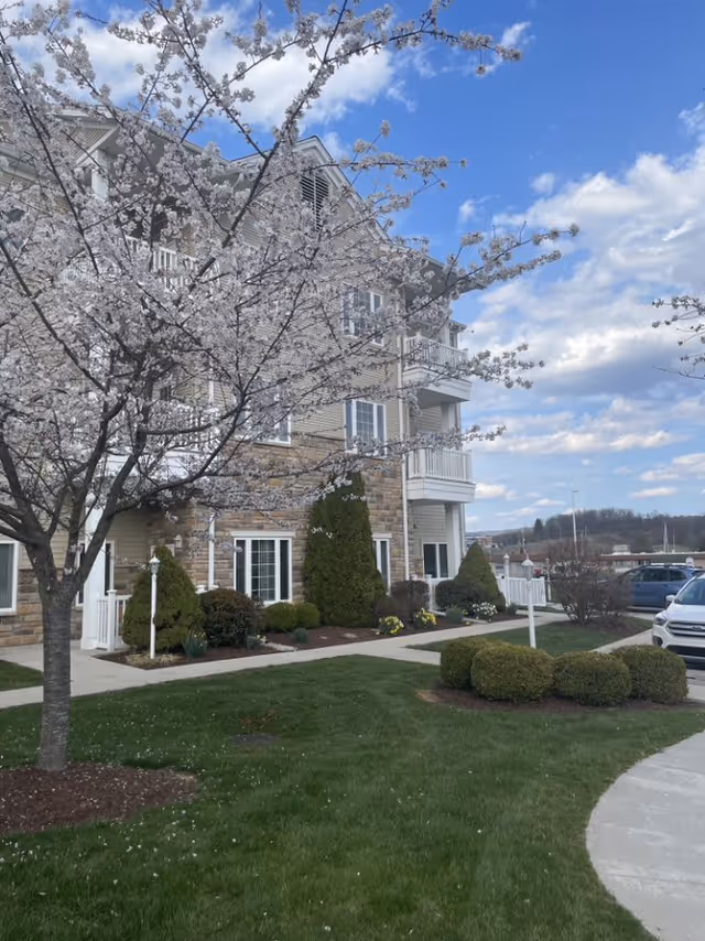 Three-story residential building with balconies behind a blooming tree, landscaped lawn, and sidewalk.