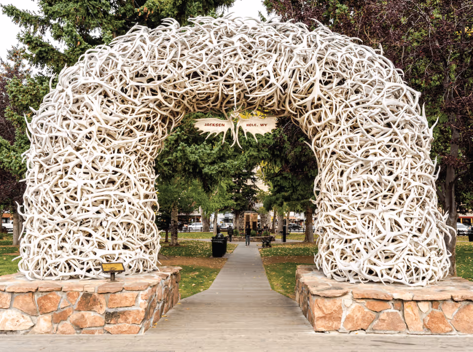 A large archway made of intertwined white antlers stands on stone bases at a park entrance. A wooden sign shaped like a moose head hangs in the center of the arch with the words 'Jackson Hole, WY'. Trees and a walkway are visible beyond the arch.