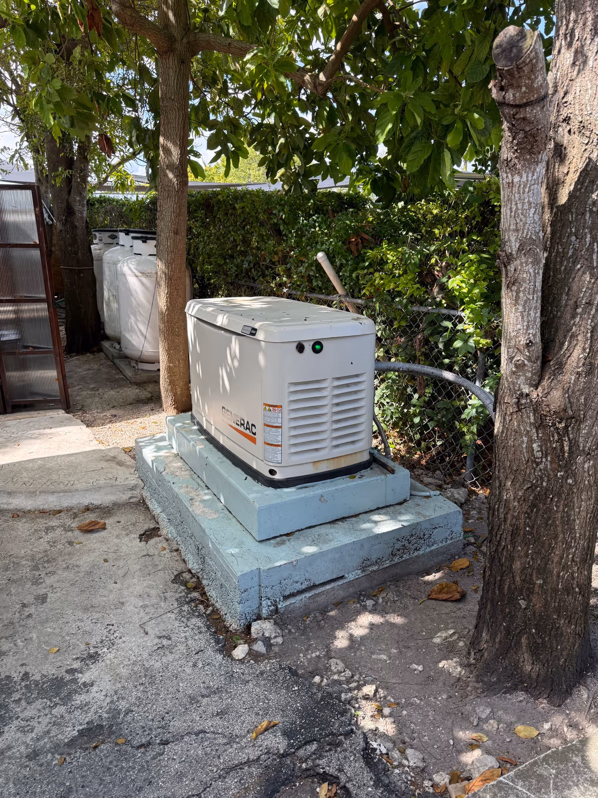 Outdoor area with a Generac generator placed on a raised concrete platform surrounded by trees and greenery. There is a chain-link fence with dense foliage behind the generator and some propane tanks visible in the background.