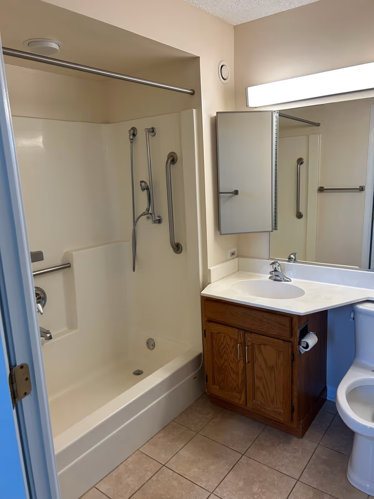 Bathroom with a bathtub-shower combo featuring grab bars, a sink vanity with mirror, and a toilet.