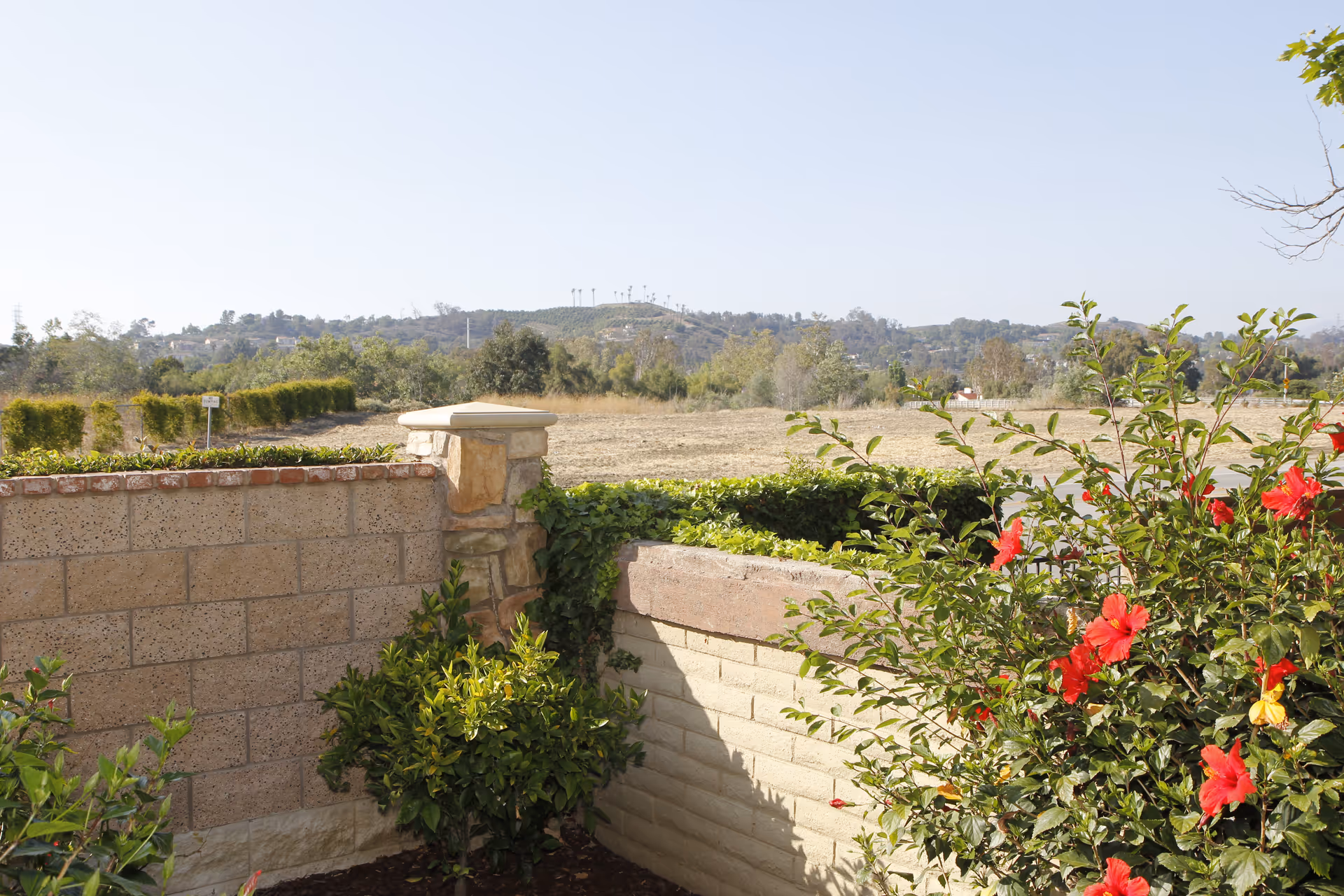 A garden area with a brick and stone wall, green shrubs, and red hibiscus flowers. Beyond the garden, there is an open field with trees and hills in the distance under a clear sky.