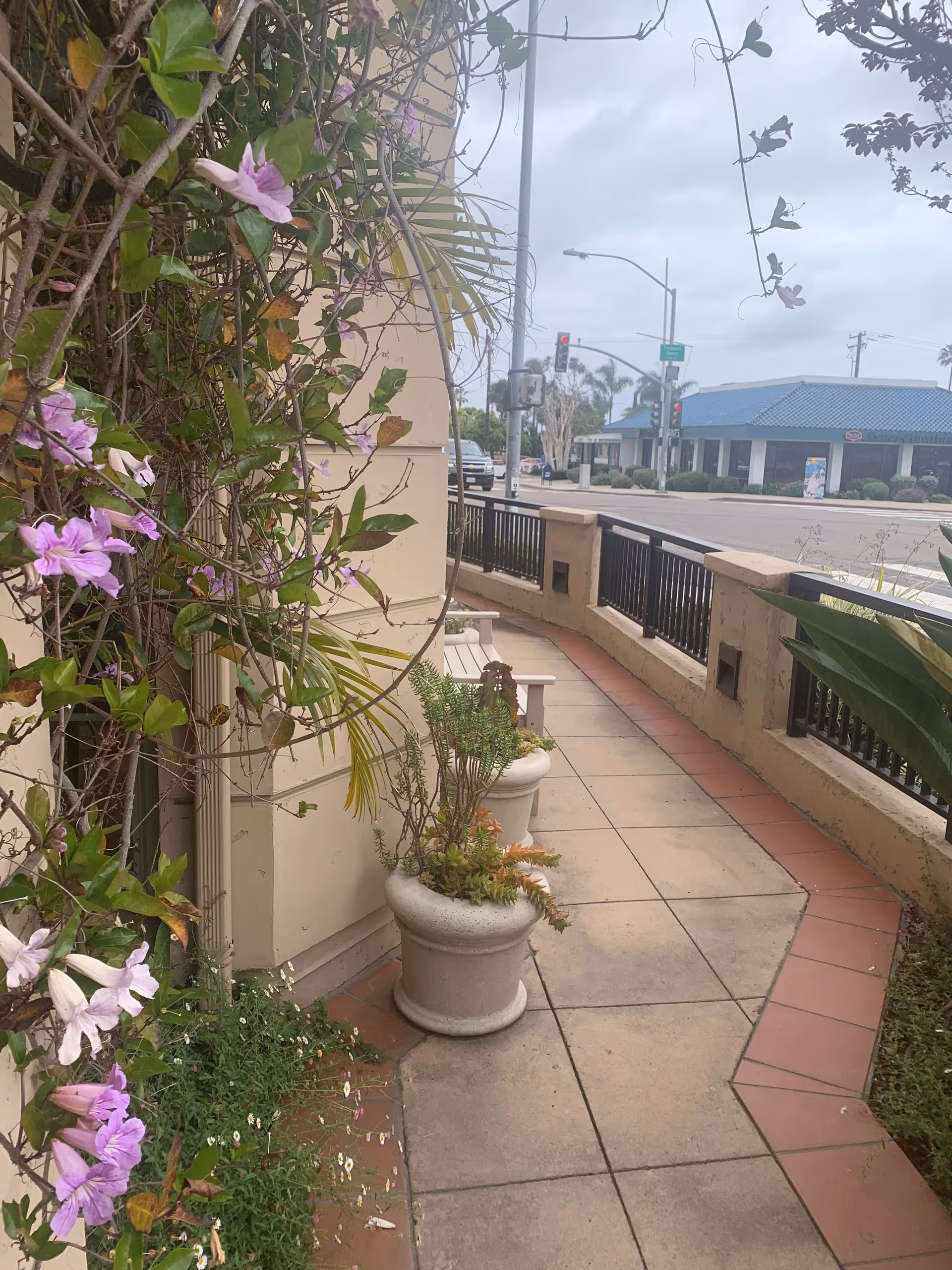 Outdoor walkway with potted plants and flowering vines along a beige building wall, a bench, and a black metal fence overlooking a street intersection with traffic lights and a blue-roofed building in the background under a cloudy sky.