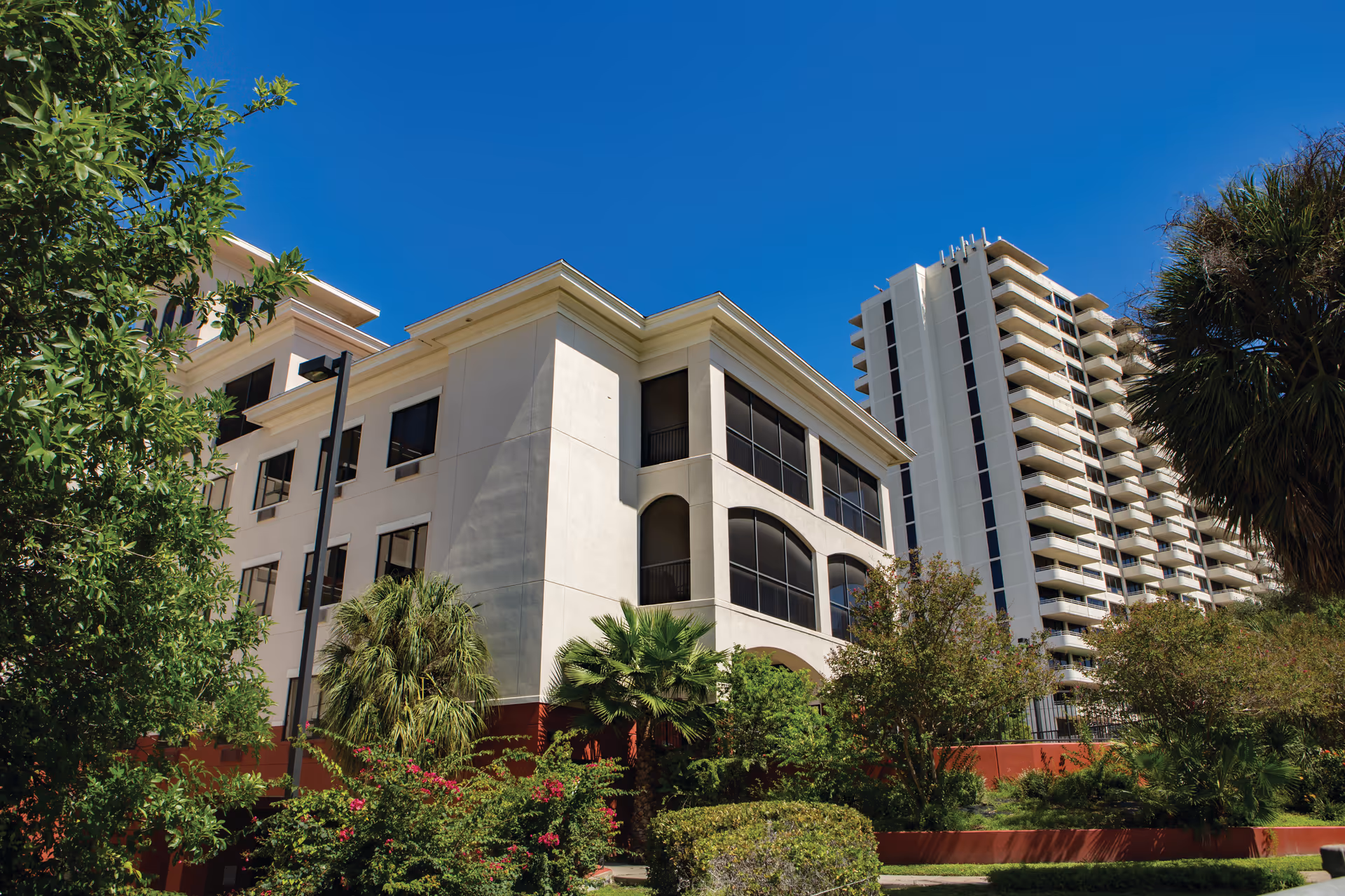 Exterior view of Brookdale Trinity Towers showing a multi-story building with large windows surrounded by lush greenery, trees, and bushes under a clear blue sky.