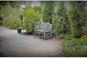 A peaceful outdoor garden area with a wooden bench along a paved pathway, surrounded by green shrubs and trees.