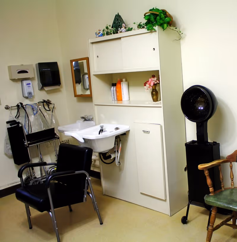 Interior of a small hair salon or grooming area with a black salon chair, a white sink with a faucet, a cabinet with shelves holding bottles and a vase with flowers, a wall-mounted mirror, a hair dryer on a stand, and a wooden chair with a green seat cushion.