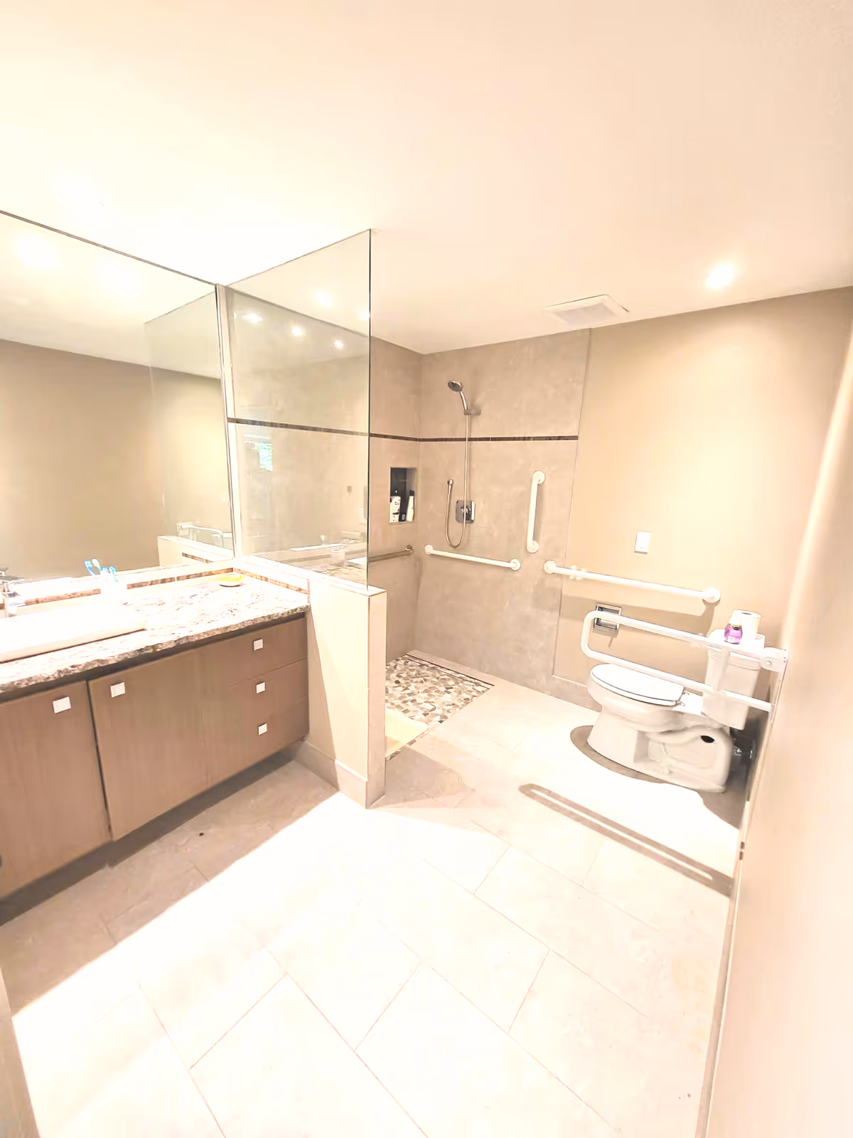 Accessible bathroom with a walk-in shower, grab bars, toilet, and a sink with a large mirror.
