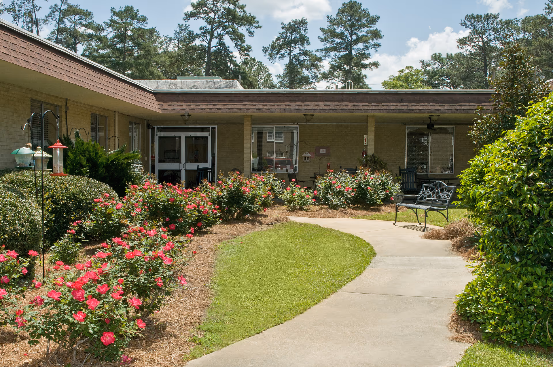 A garden area with a curved concrete pathway surrounded by green grass and blooming pink rose bushes. There are benches along the path and a building with large windows and a covered patio in the background. Tall pine trees are visible behind the building under a partly cloudy sky.