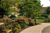 A curved concrete pathway bordered by well-maintained bushes, flowers, and trees in a garden area. A wooden bench is visible on the left side, and buildings can be seen in the background under a clear sky.
