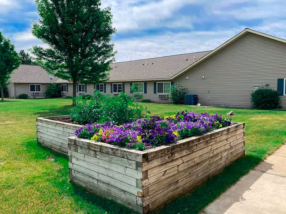 Raised wooden garden beds filled with purple and yellow flowers on a grassy lawn with trees and a beige single-story building in the background under a partly cloudy sky.