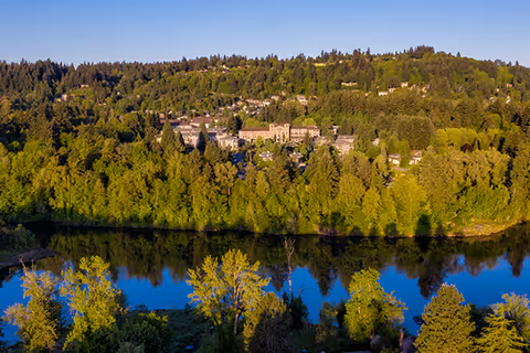 A forested hillside with a river and distant buildings among trees.