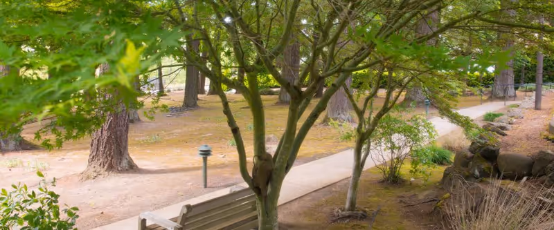 A peaceful outdoor garden area with a paved walking path, trees, a wooden bench, and some shrubs and rocks. The scene is shaded by tree foliage and has a natural, serene atmosphere.