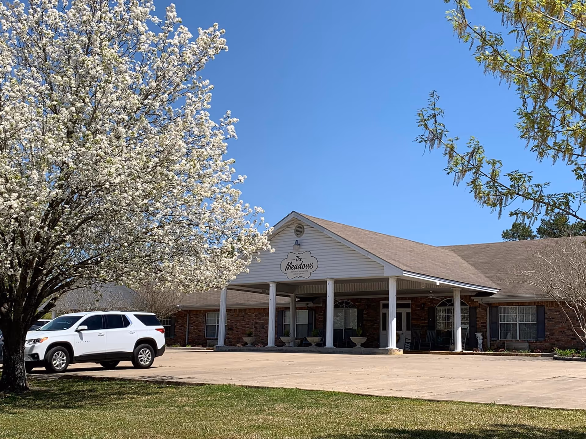 Front entrance of a brick building labeled "The Meadows" with a white SUV parked and a large flowering tree nearby.
