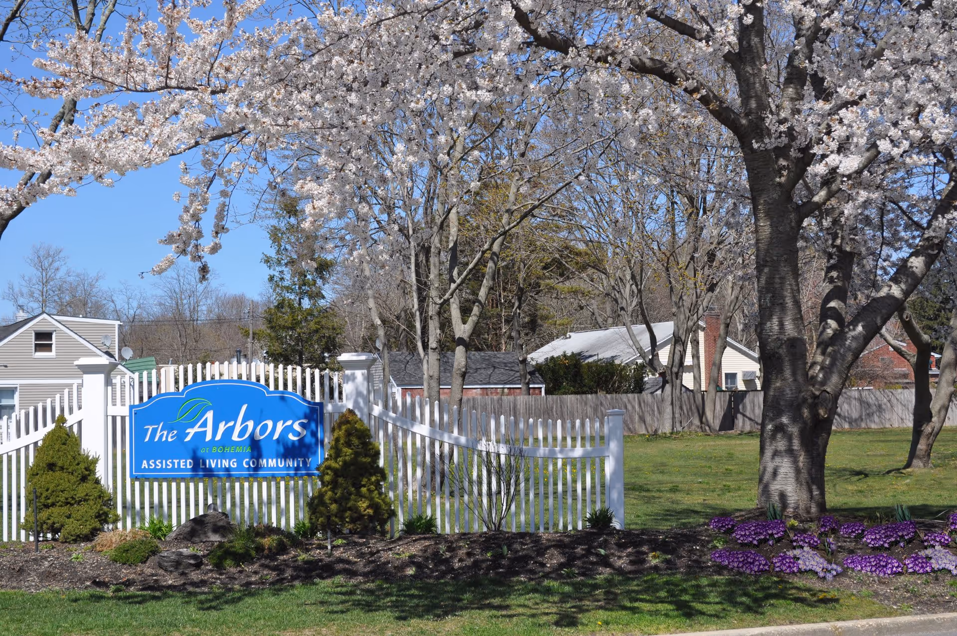 White picket fence with a blue sign reading 'The Arbors Assisted Living Community' surrounded by blooming trees and green grass with purple flowers in the foreground and houses in the background under a clear blue sky.