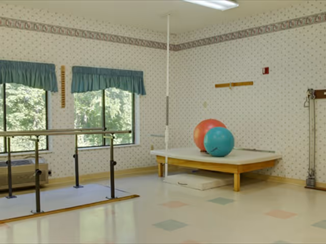 A therapy or exercise room with parallel bars for walking practice, a raised platform with two large exercise balls (one red and one blue), two windows with green valances, and wallpaper with a small floral pattern and a decorative border near the ceiling.