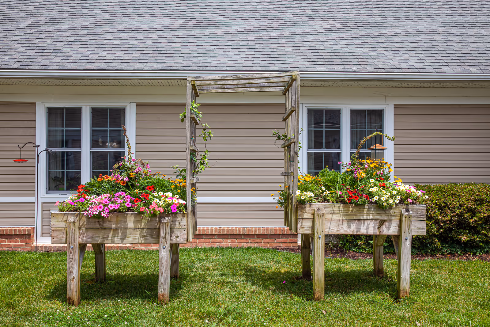 Two raised wooden garden beds filled with colorful flowers and greenery, positioned on a grassy lawn in front of a beige building with two white-framed windows. A wooden trellis connects the two garden beds.