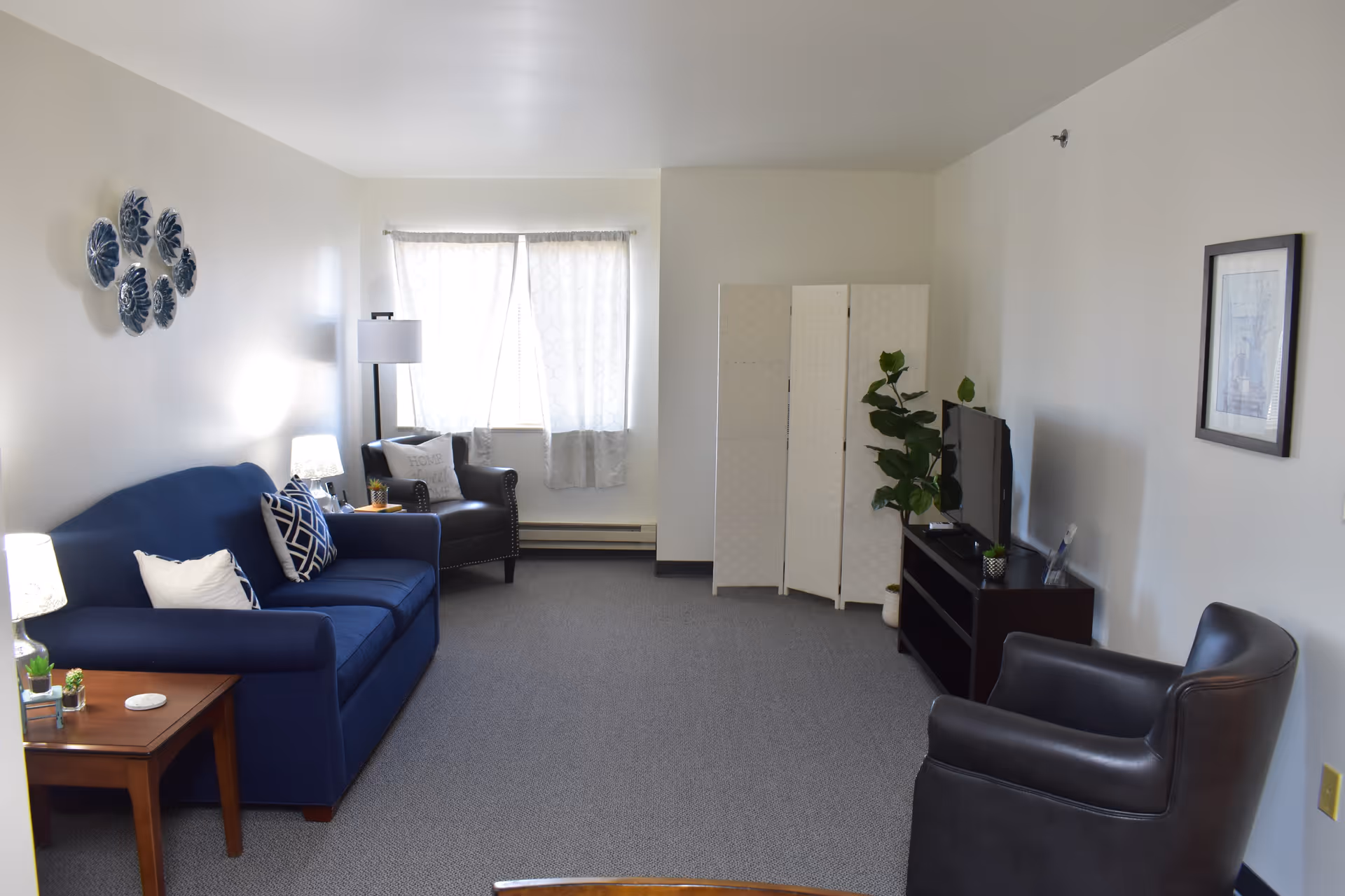 A bright living room with a blue sofa adorned with patterned and plain pillows, a wooden side table with a lamp and small plants, a black armchair near a window with sheer curtains, a floor lamp, a white folding screen, a TV on a dark wooden stand, a potted plant, and another black armchair facing the TV. The walls are light-colored and decorated with a framed picture and blue decorative plates.