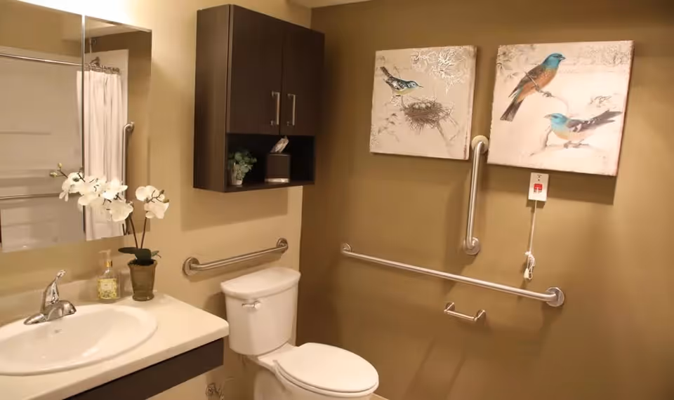 A bathroom with a white sink and faucet on a beige countertop, a white toilet, and a dark brown wall cabinet above the toilet. There are two framed pictures of birds on the wall, grab bars installed around the toilet area, a soap dispenser, and a small potted orchid on the sink counter.