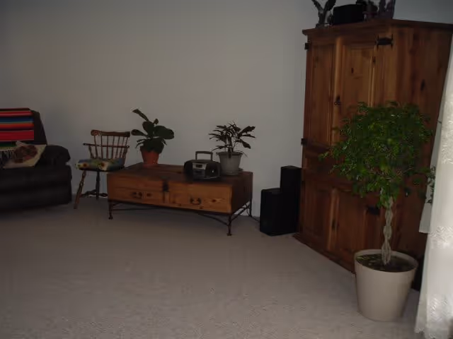 Carpeted living room with a wooden armoire, low wooden table holding plants and a radio, a potted tree, and seating.