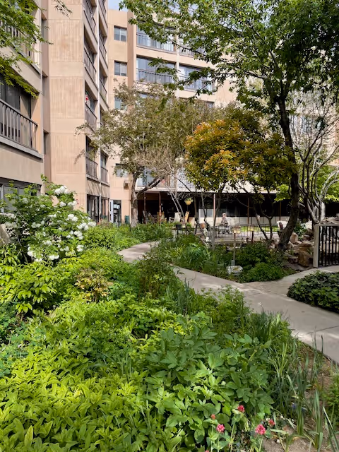 A lush garden area with various green plants, bushes, and trees surrounding a winding concrete pathway. In the background, there is a multi-story building with balconies and windows, partially shaded by the trees.
