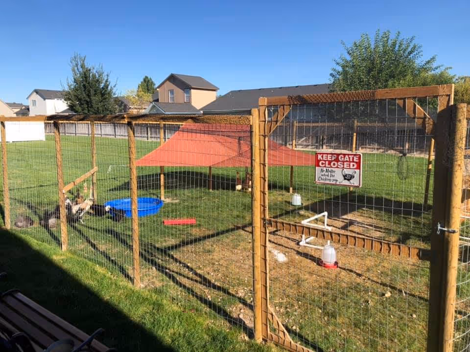 Wooden fenced backyard chicken run with a red shade cloth, blue plastic pool, waterers and a 'KEEP GATE CLOSED' sign on the gate.