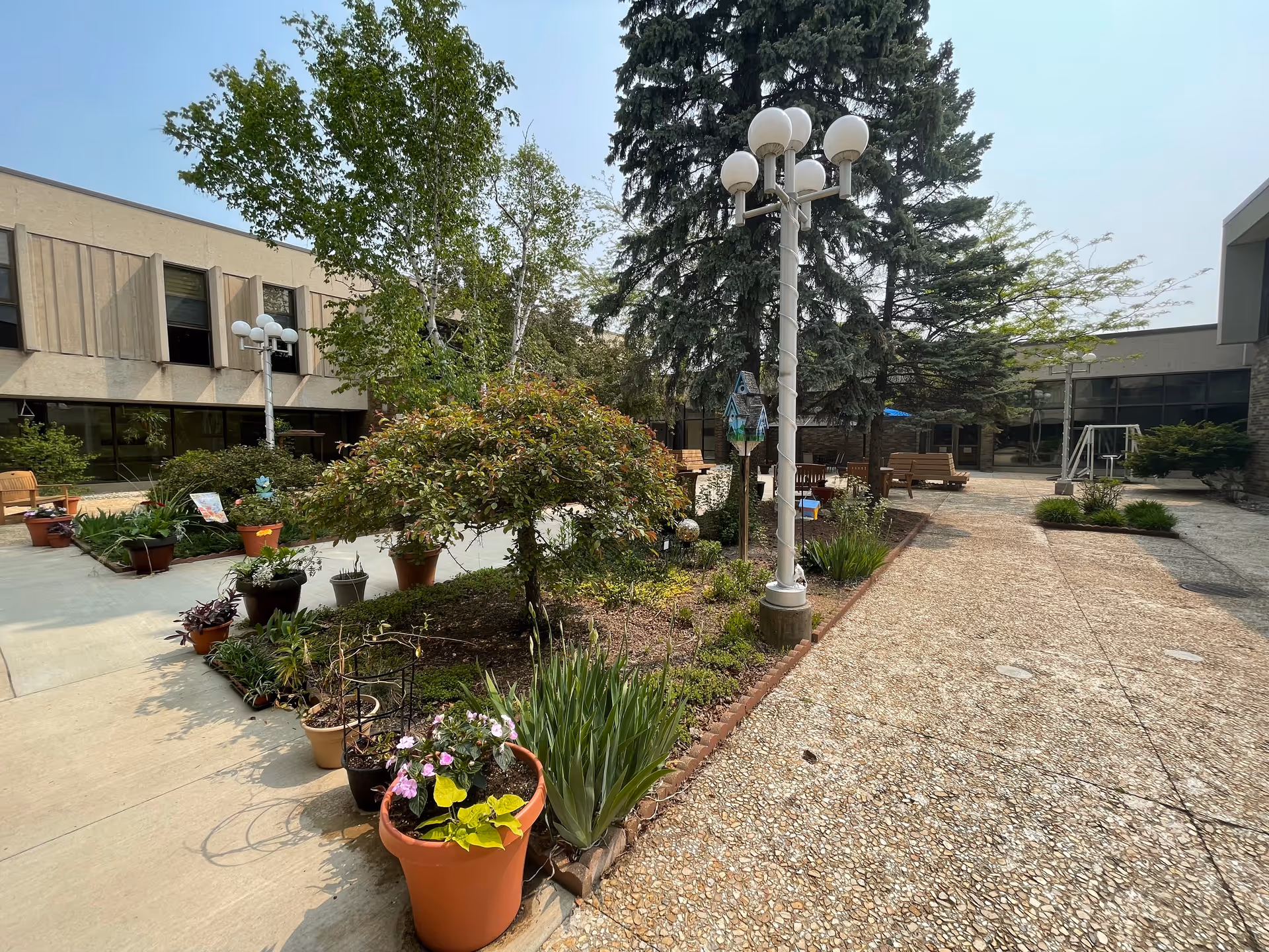 Outdoor courtyard area of a senior living facility with potted plants, trees, benches, and lamp posts surrounded by building walls under a clear sky.