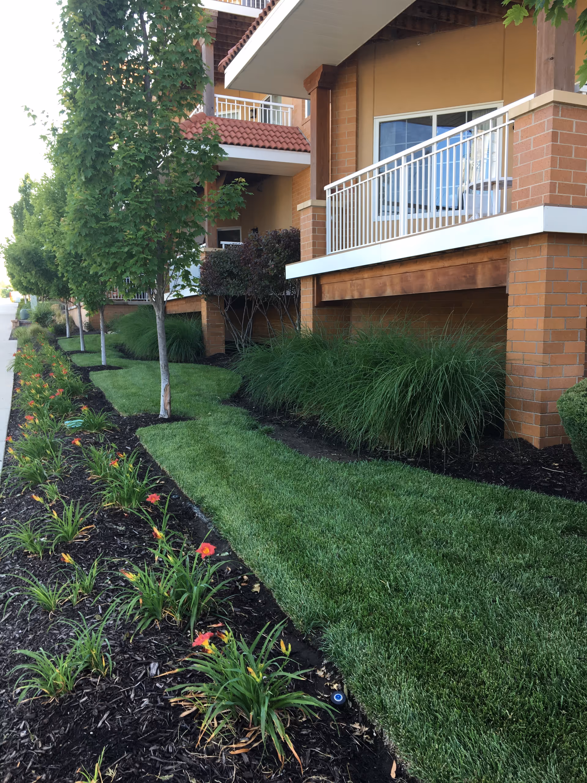 A landscaped outdoor area alongside a building with brick walls and balconies. The scene includes neatly trimmed grass, small trees, flowering plants, and shrubs lining a sidewalk.