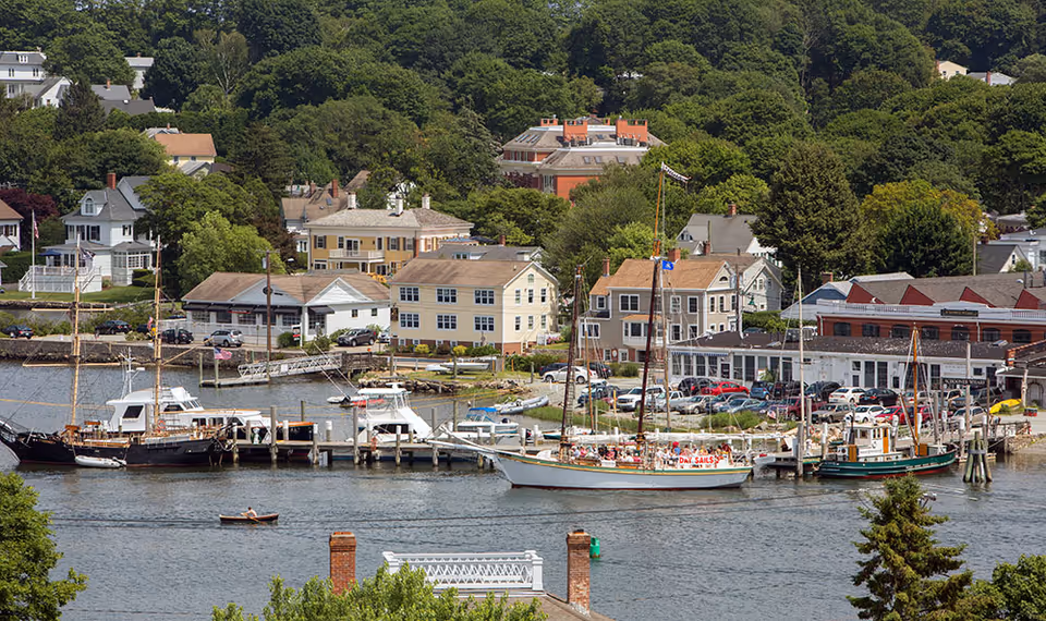 A waterfront scene showing a small harbor with several boats docked along piers. Behind the harbor are residential houses and buildings surrounded by dense green trees. The water is calm, and a small rowboat is visible in the foreground.