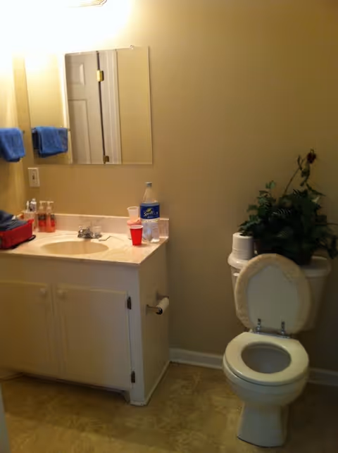 A bathroom with a white toilet that has a cushioned seat cover and a plant on the tank. Next to the toilet is a white vanity with a sink, a mirror above it, and two blue towels hanging on the wall. Various items including a bottle of Sprite, a red cup, and soap dispensers are on the countertop.