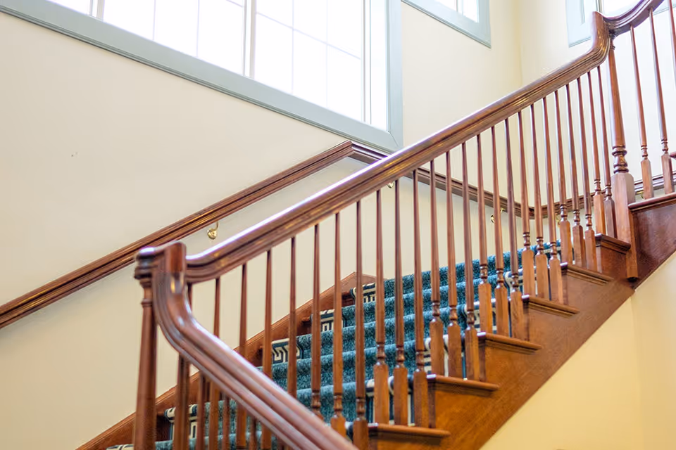 Wooden staircase with a green carpet runner and wooden handrails, illuminated by natural light from large windows above.
