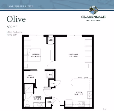 Floor plan of the Olive apartment at Clarendale Of St. Peters showing a one-bedroom, one-bath layout with 802 square feet. The plan includes a bedroom, bathroom, kitchen, living room, closets, and a washer/dryer area.