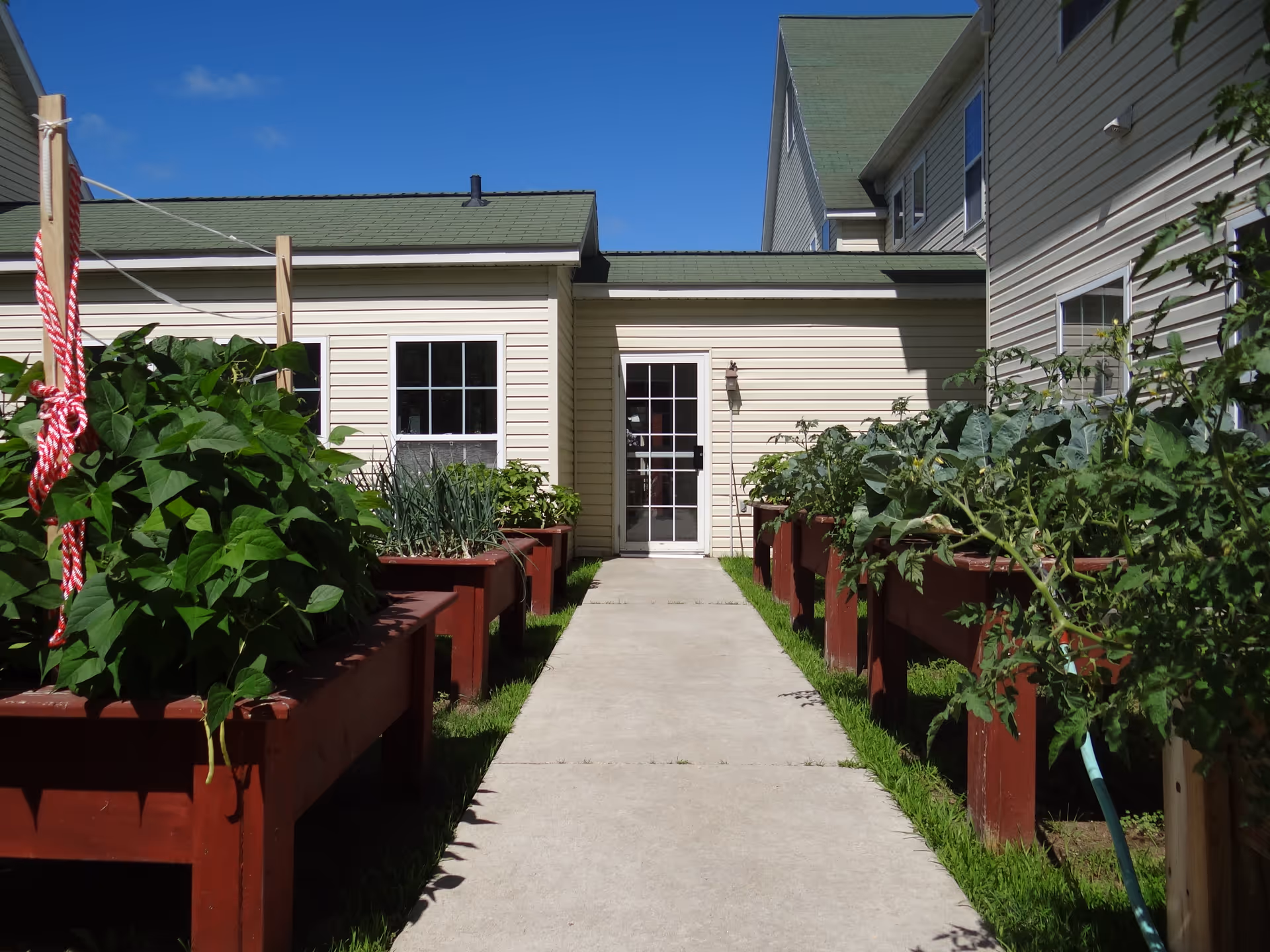 Concrete walkway lined with raised wooden garden beds leading to a doorway of a light-colored building under a blue sky.