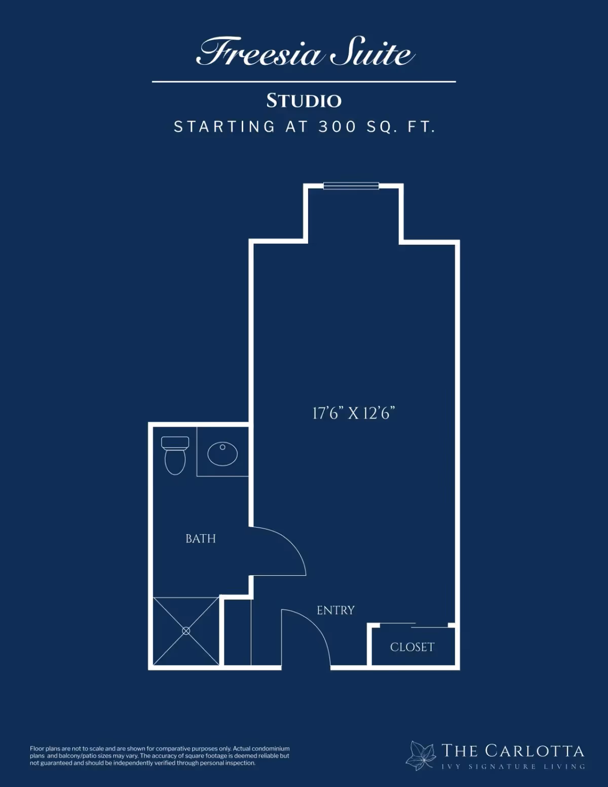Blueprint-style floor plan titled 'Freesia Suite' showing a studio layout with an entry, closet, and labeled bath.