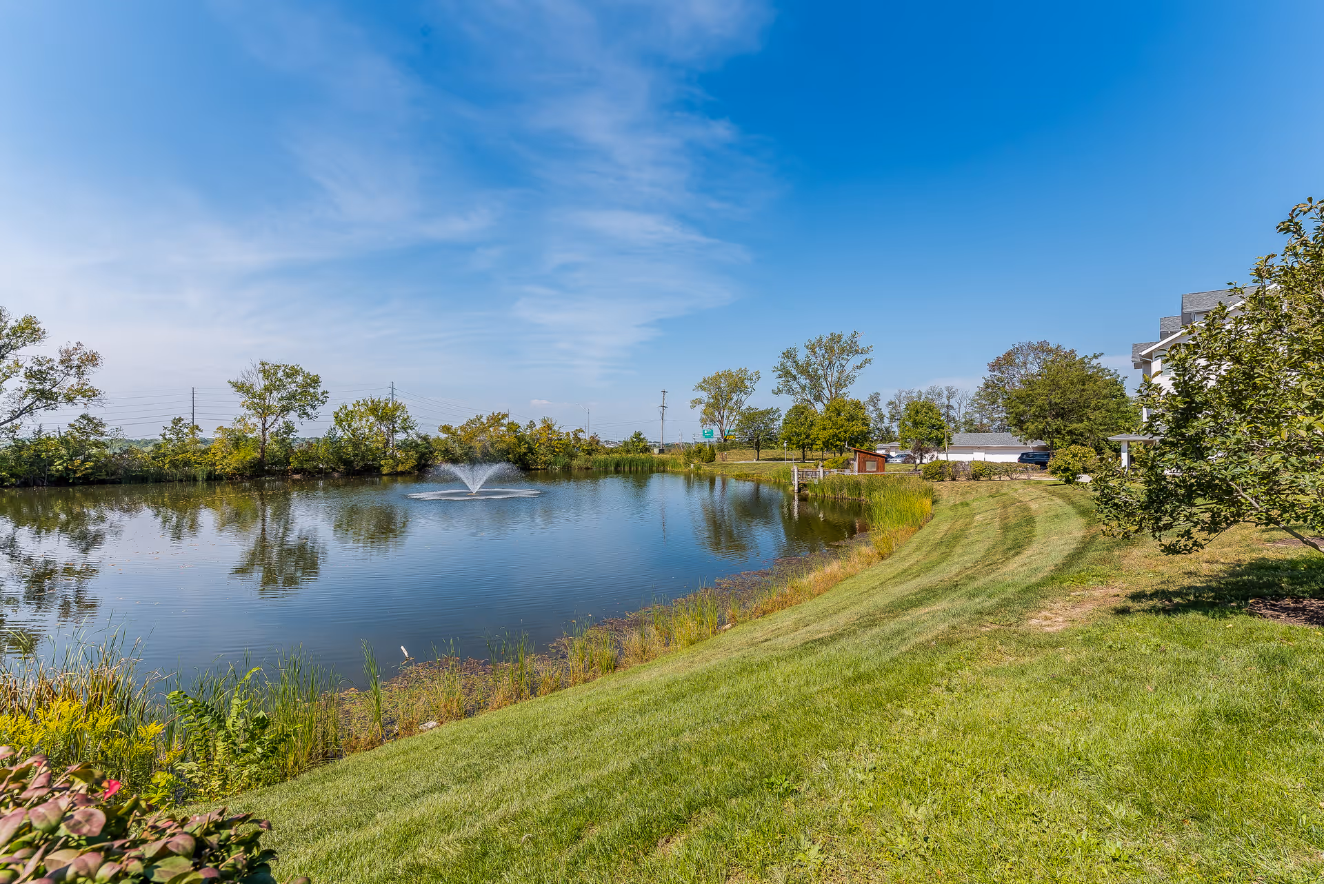 A serene outdoor scene featuring a small pond with a water fountain in the center, surrounded by green grass and trees under a clear blue sky.