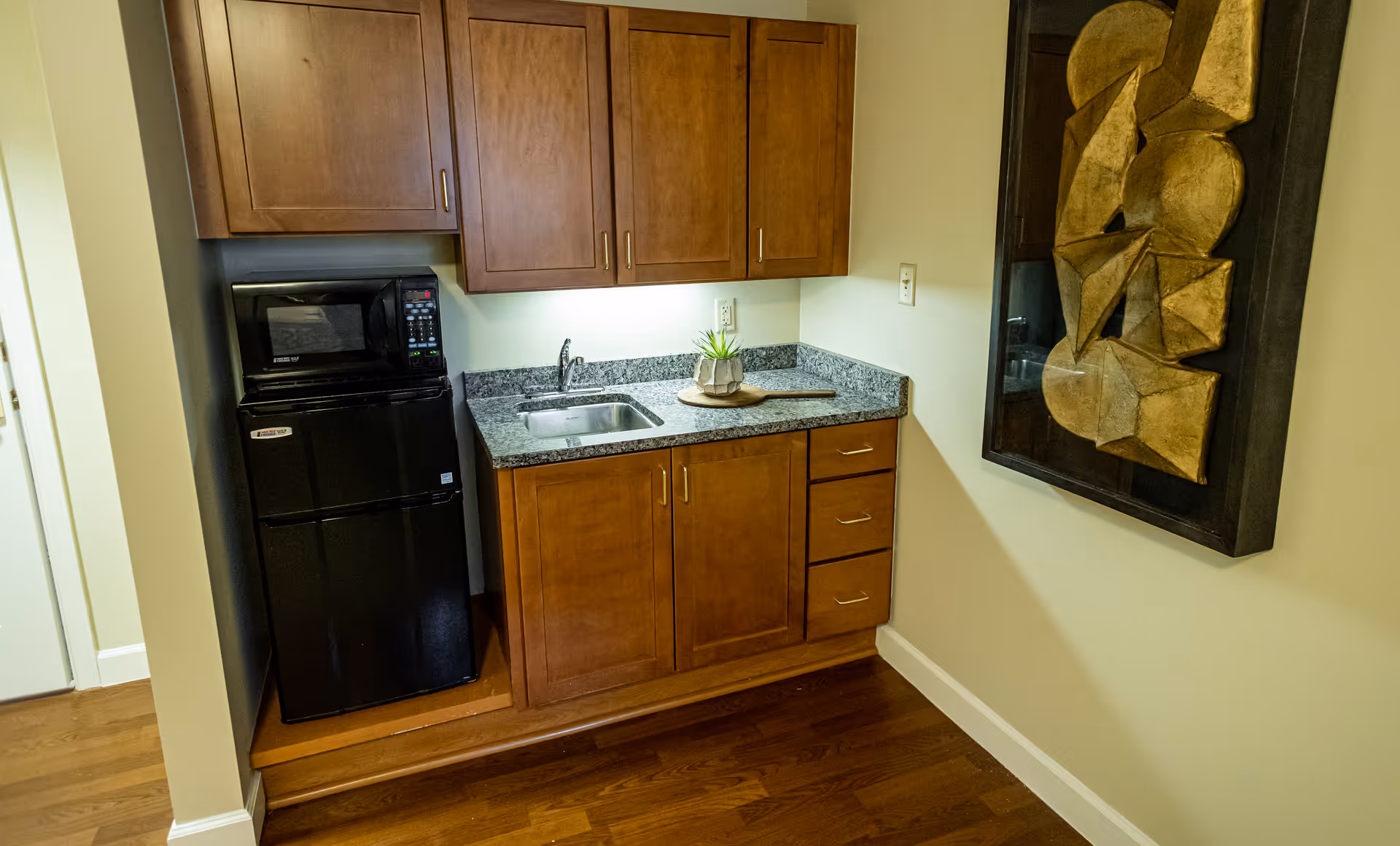 Small kitchenette area with wooden cabinets, a black mini refrigerator, a microwave on top of the refrigerator, a granite countertop with a small sink, and a decorative plant. There is a framed abstract wall art piece on the adjacent wall.