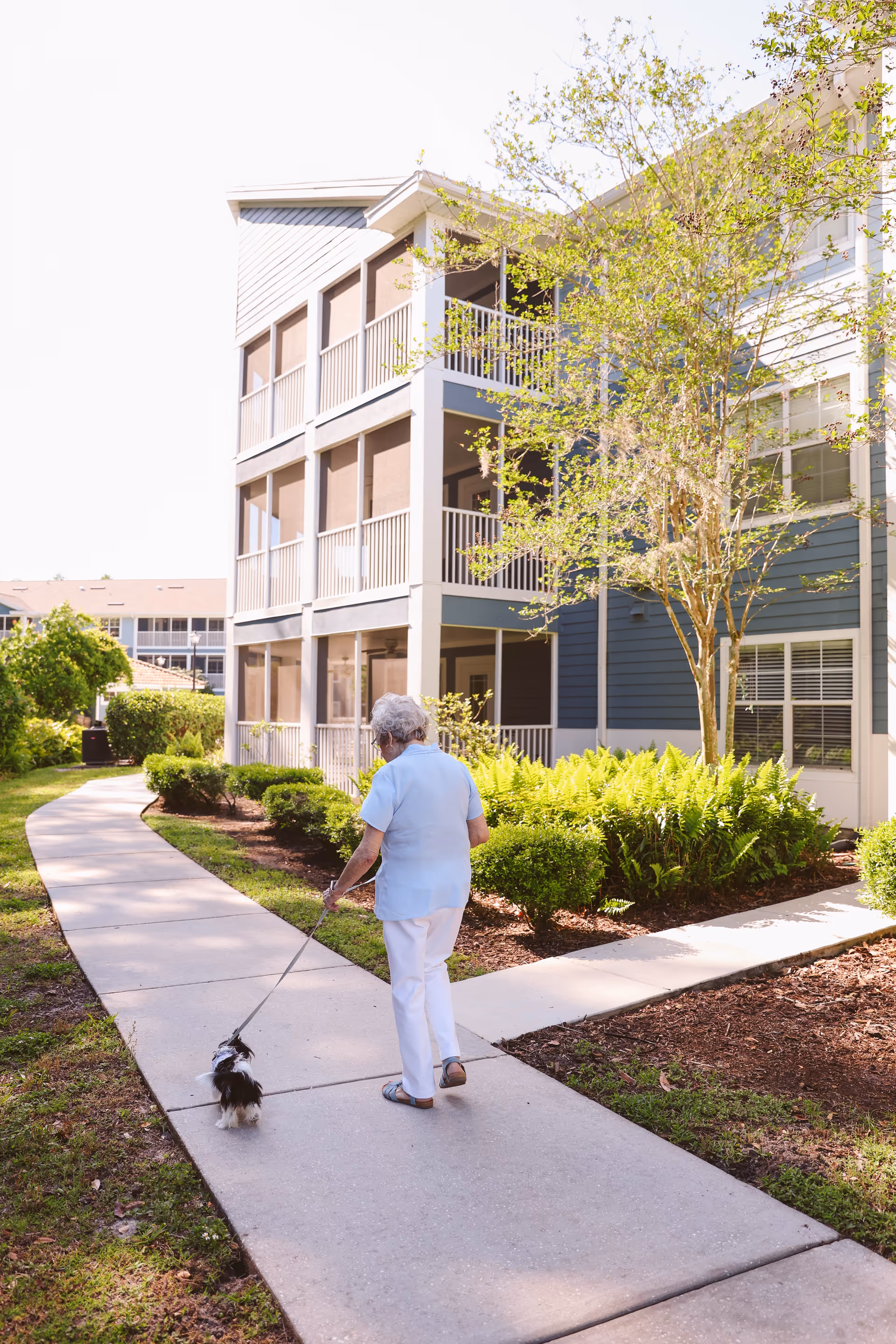 An elderly woman walking a small dog on a leash along a paved pathway outside a multi-story residential building with screened balconies and surrounded by greenery and trees.