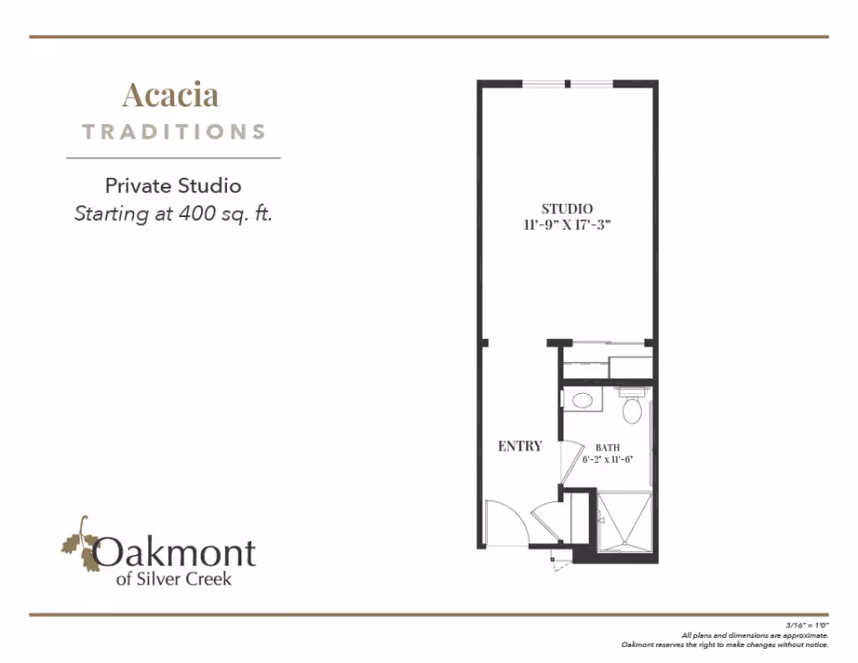 Floor plan of a private studio apartment named Acacia Traditions at Oakmont of Silver Creek, showing a studio area measuring 11 feet 9 inches by 17 feet 3 inches, an entryway, and a bathroom measuring 6 feet 2 inches by 11 feet 6 inches.