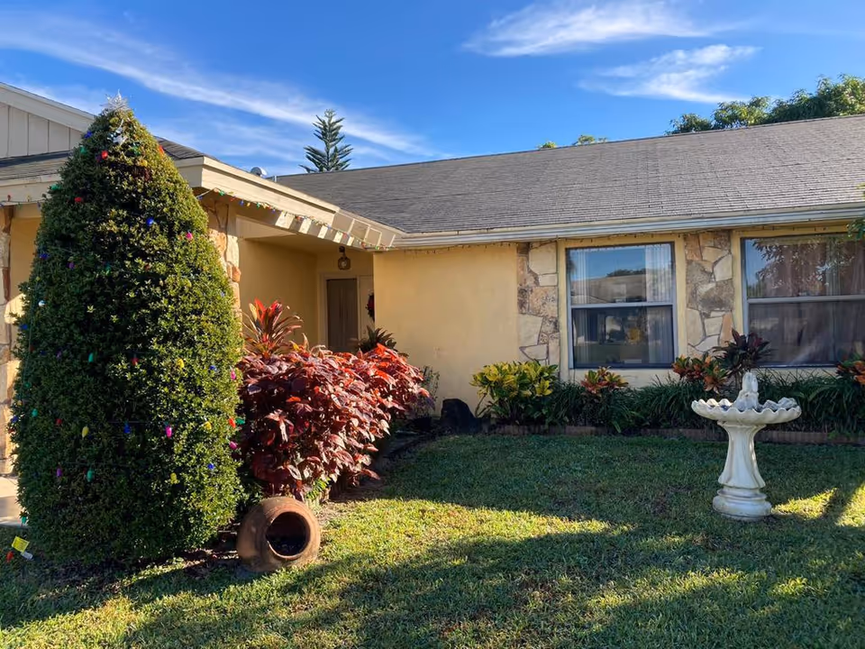 Front yard of a single-story building with a decorated conical shrub resembling a Christmas tree, various plants and bushes, a white birdbath on a grassy lawn, and a beige exterior wall with two windows and a door under a small covered porch.