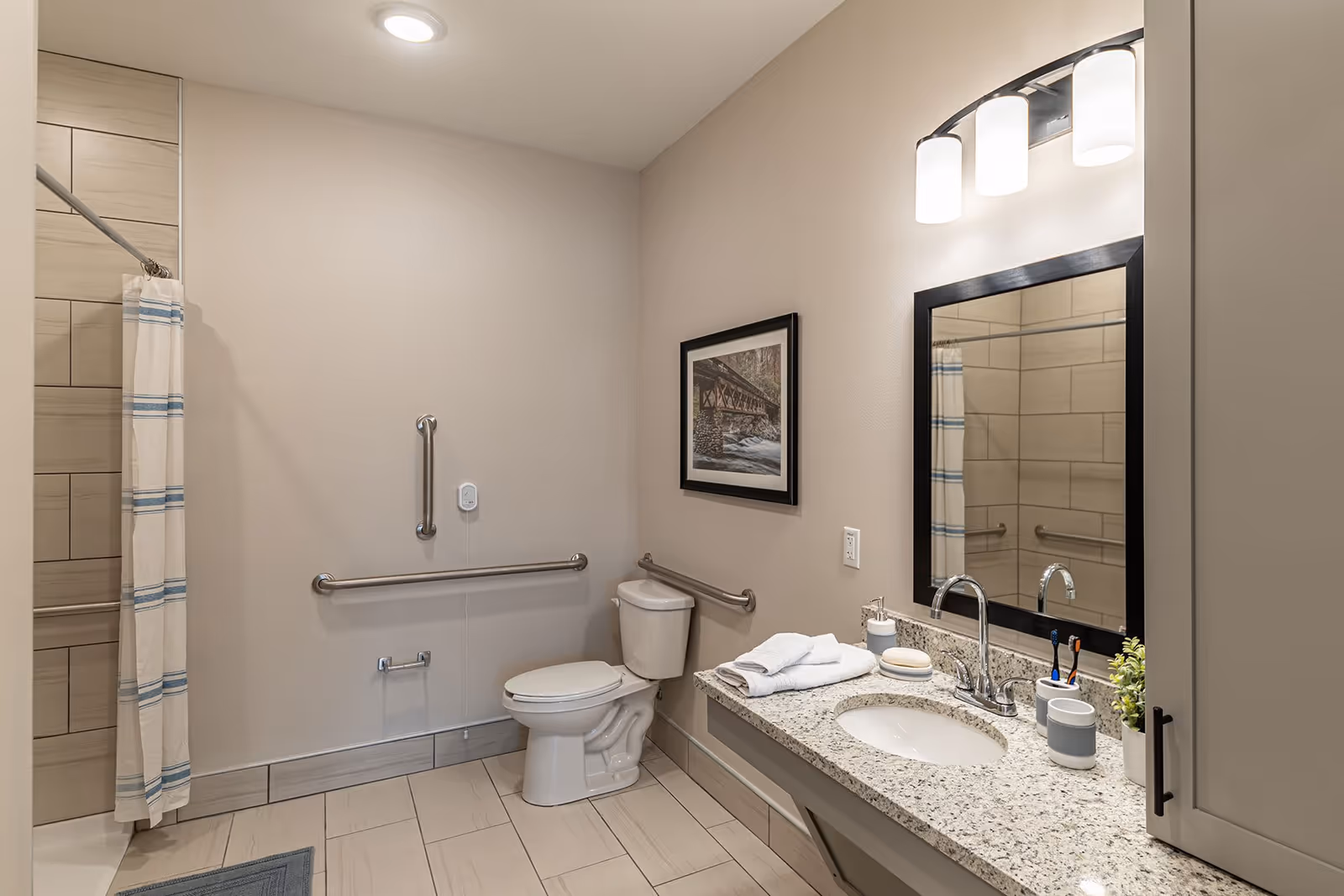A clean and accessible bathroom with beige walls and tiled floor. It features a toilet with grab bars on the walls, a shower area with a curtain, and a granite countertop with a sink, faucet, soap, toothbrushes, and a small plant. Above the sink is a mirror with three lights.