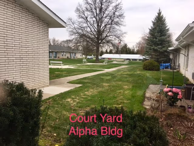 Outdoor courtyard area between buildings with green grass, a large tree, benches, and a paved walkway. The sky is overcast and there are some shrubs and flowers near the buildings.