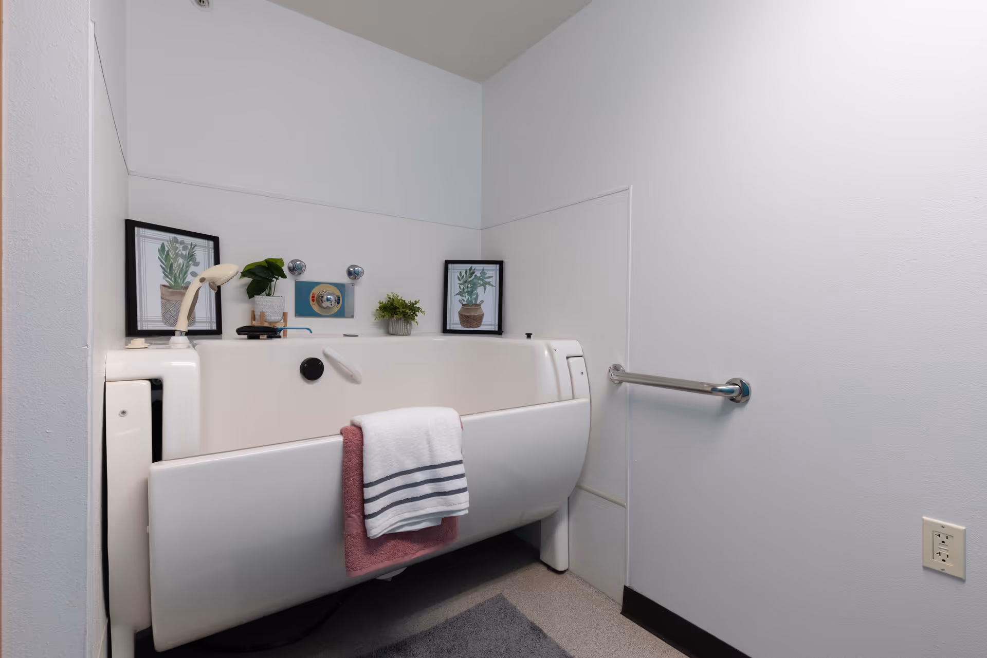A walk-in bathtub with towels, decorative plants, and a wall grab bar in a small bathroom.
