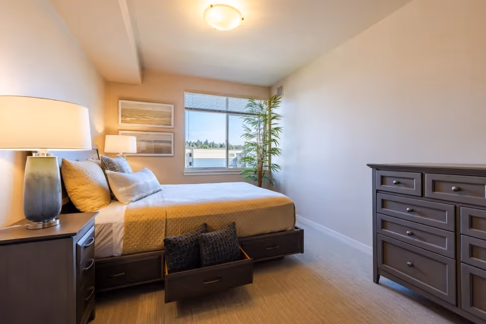 A neatly made bed with beige bedding in a bright bedroom featuring a window with a view of trees and buildings. The room has a nightstand with a lamp, a dresser, two framed artworks on the wall, and a tall green plant in the corner.
