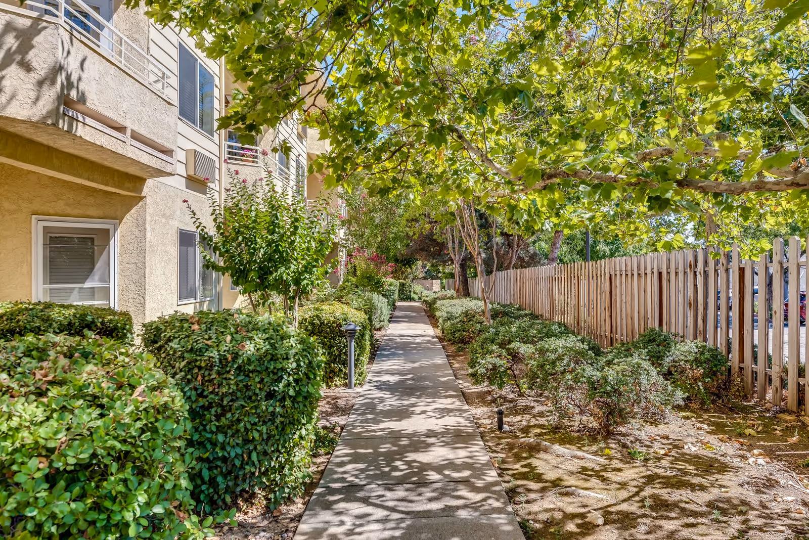 A sunny outdoor walkway lined with green bushes and trees on both sides. On the left side is a beige building with windows and balconies, and on the right side is a wooden fence. The pathway is shaded by tree branches overhead.