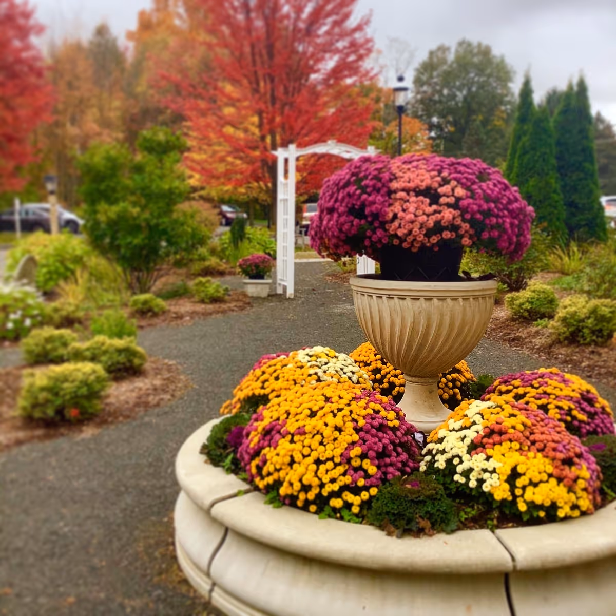 A landscaped garden area with colorful flower arrangements in large stone planters, a gravel pathway, and autumn trees with red and orange leaves in the background. There is a white wooden archway and some green shrubs along the path.